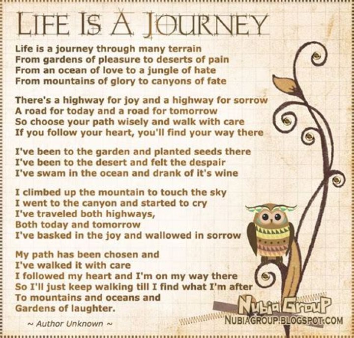A Journey Through the Life of ashleyyyreyyy: An Icon of Inspiration