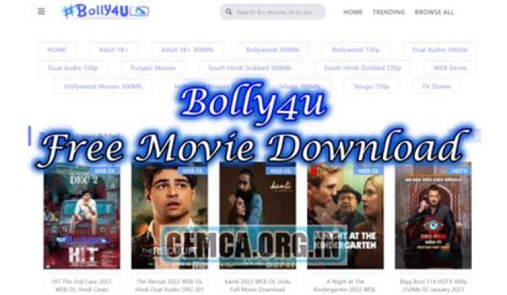 Bolly4u Fit: Your Ultimate Guide to Fitness and Wellness