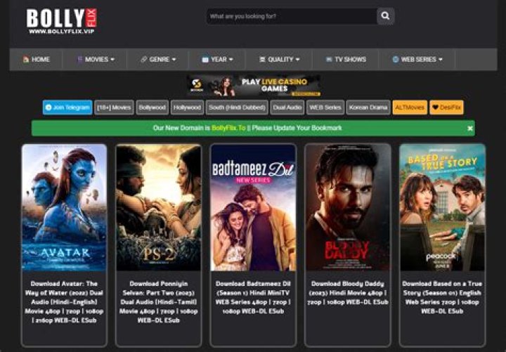 BollyFlix World: Your Ultimate Guide to Bollywood Streaming