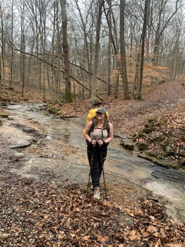 Brynn Woods: A Journey Through Nature and Creativity