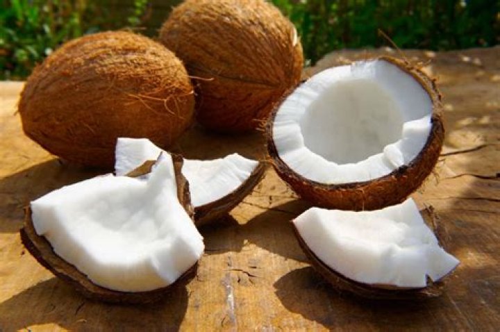 Coconey: The Rise of a New Cultural Phenomenon
