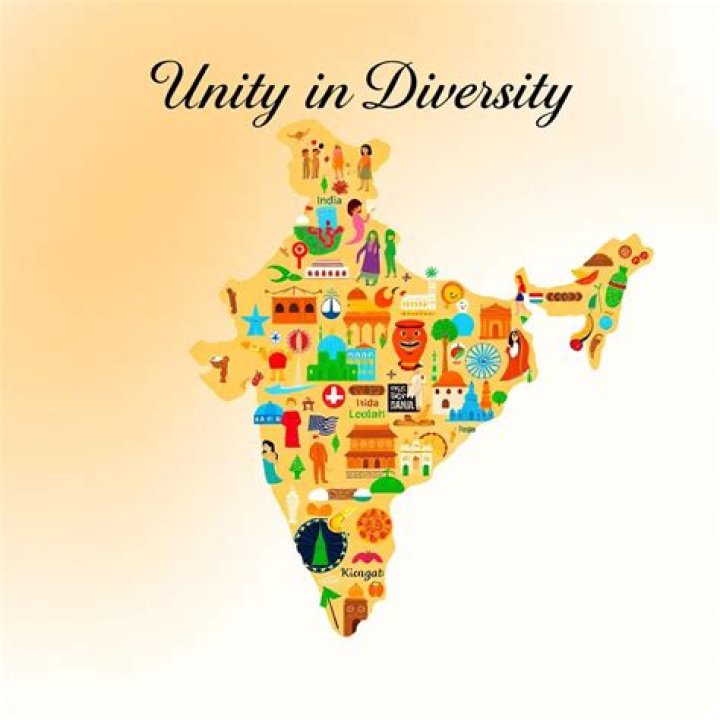 Discovering My Desi, Net: A Cultural Journey