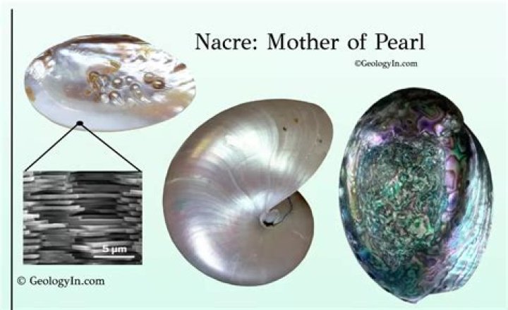 Discovering Nacre Victoire: The Art of Mother-of-Pearl in Fashion and Design