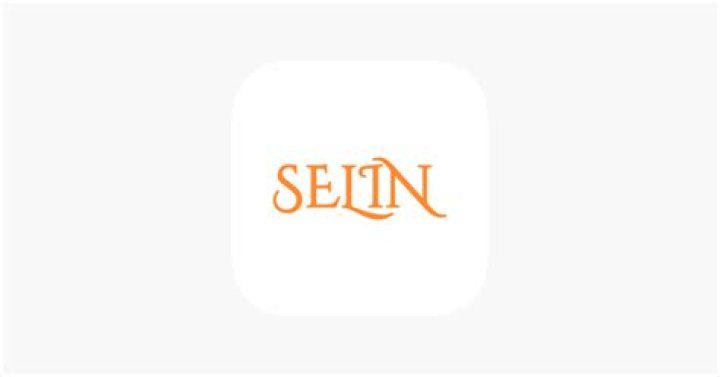 Discovering the Unique Features of Selin.id Website