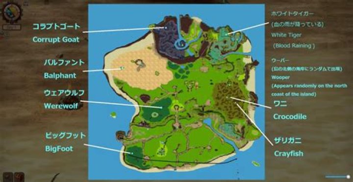 Discovering the Wonders of the Mad Island Guide
