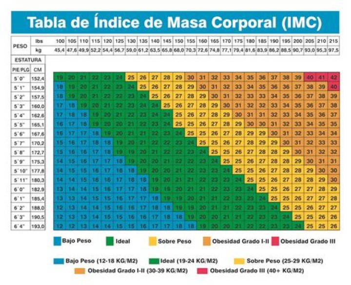 Discovering the World of masa 49.in