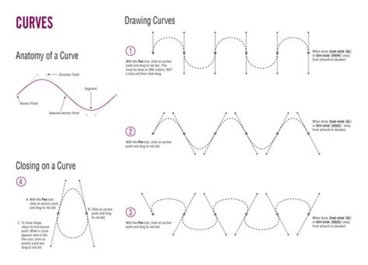 Embracing the Beauty of Curves: A Deep Dive into Paulacurves