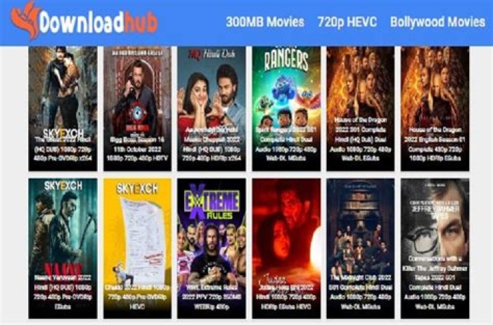 Explore the World of Downloadhub 300MB Movies