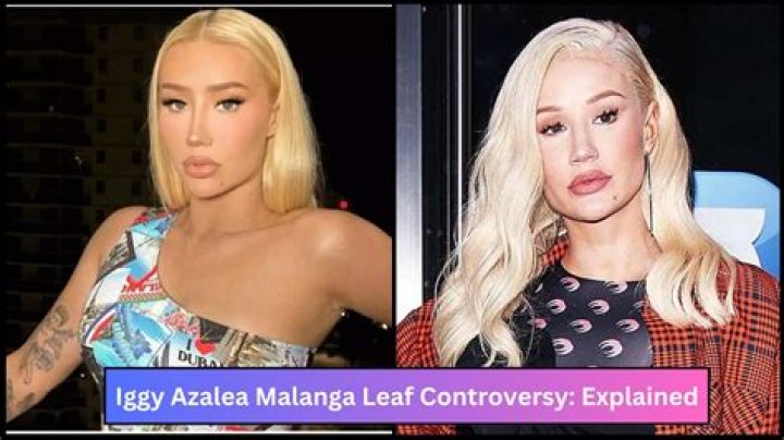 Exploring the Controversy: Iggy Azalea and the World of Adult Entertainment