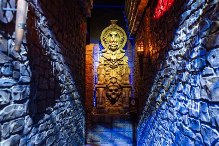 Exploring the Enigma of Lobadakuma Nackt