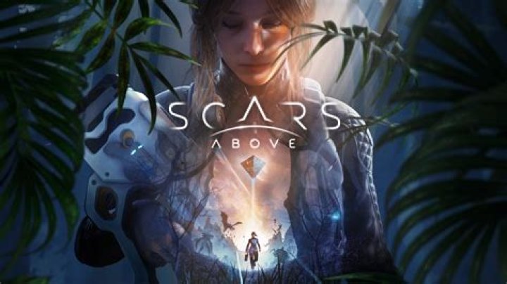 Exploring the Enigmatic World of Scars Wonderland