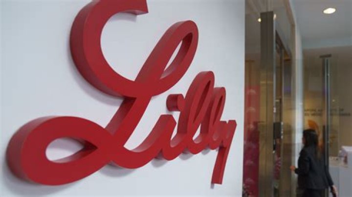 Lilly Vig Age: Unveiling the Mystery Behind Her Journey