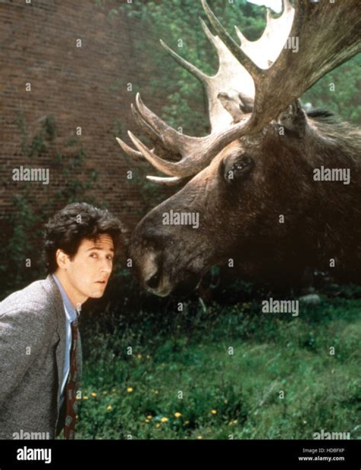 Rob Morrow: A Journey Through Television and Film