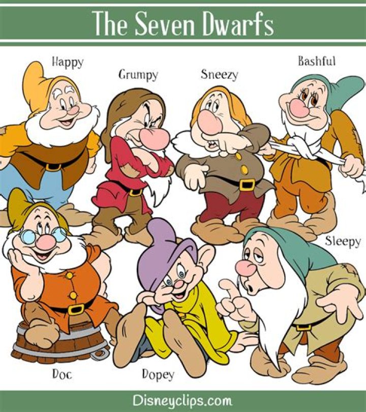 The Enchanted World of the 7 Dwarfs