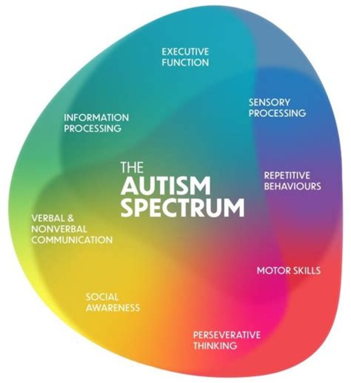Understanding Elizabeth Holmes: A Look at Autism and Innovation