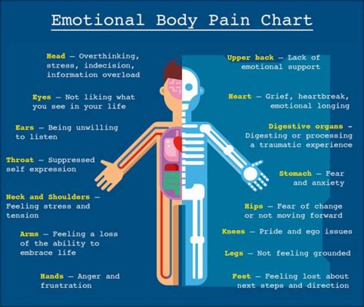 Understanding Toyal Pains: A Journey to Wellness