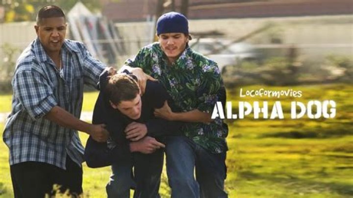 Unleashing the Power of Alphadog: A Comprehensive Guide