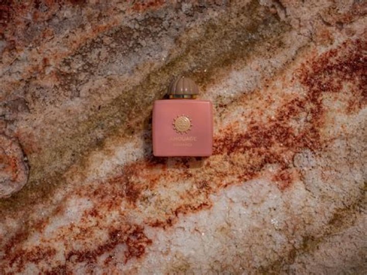 Unveiling the Allure: A Deep Dive into Little.Warren Nude
