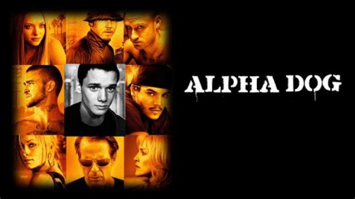 Unveiling the Depths of Emile Hirsch in Alpha Dog
