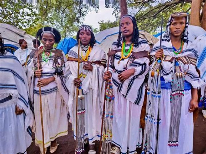 Unveiling the Essence of Minka: A Journey Through Culture and Architecture