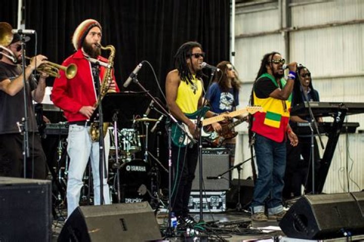 Zion Marley: The Legacy of a Reggae Icon's Progeny